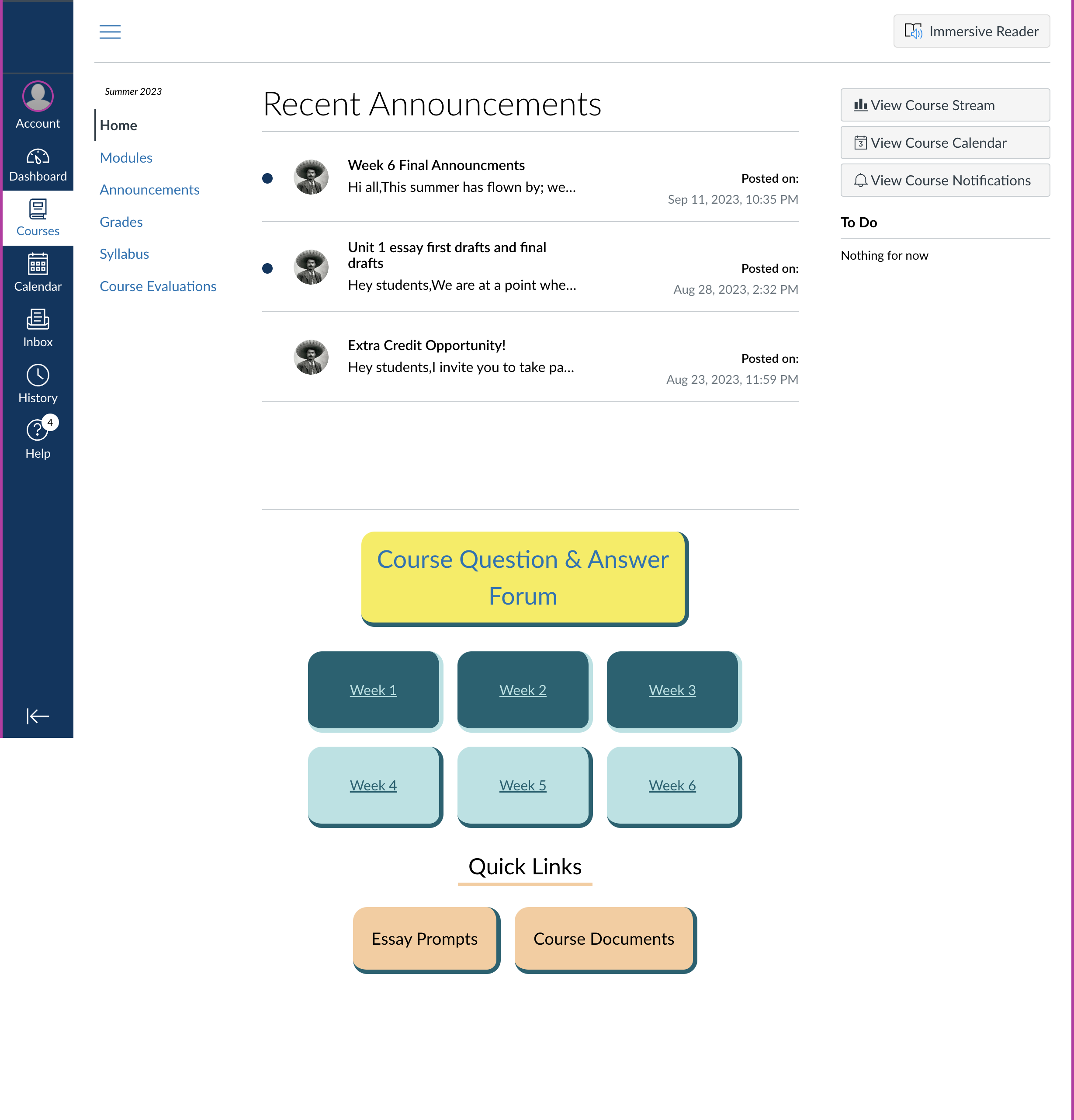 asynchronous online course in LMS